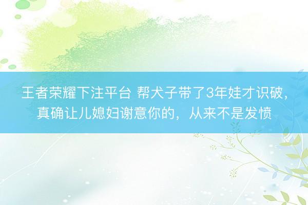王者荣耀下注平台 帮犬子带了3年娃才识破，真确让儿媳妇谢意你的，从来不是发愤